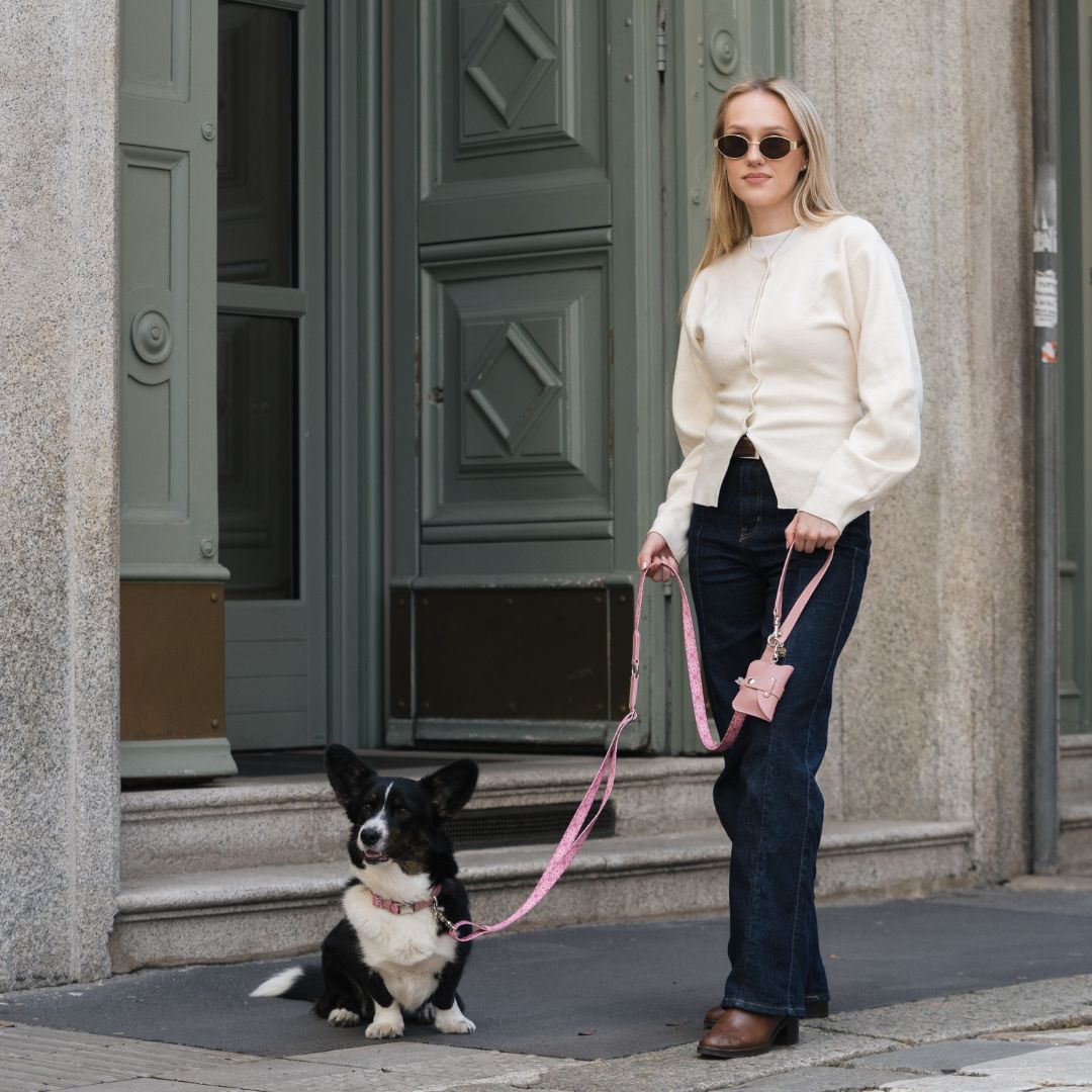 Multifunction Dog Leash - Sicily