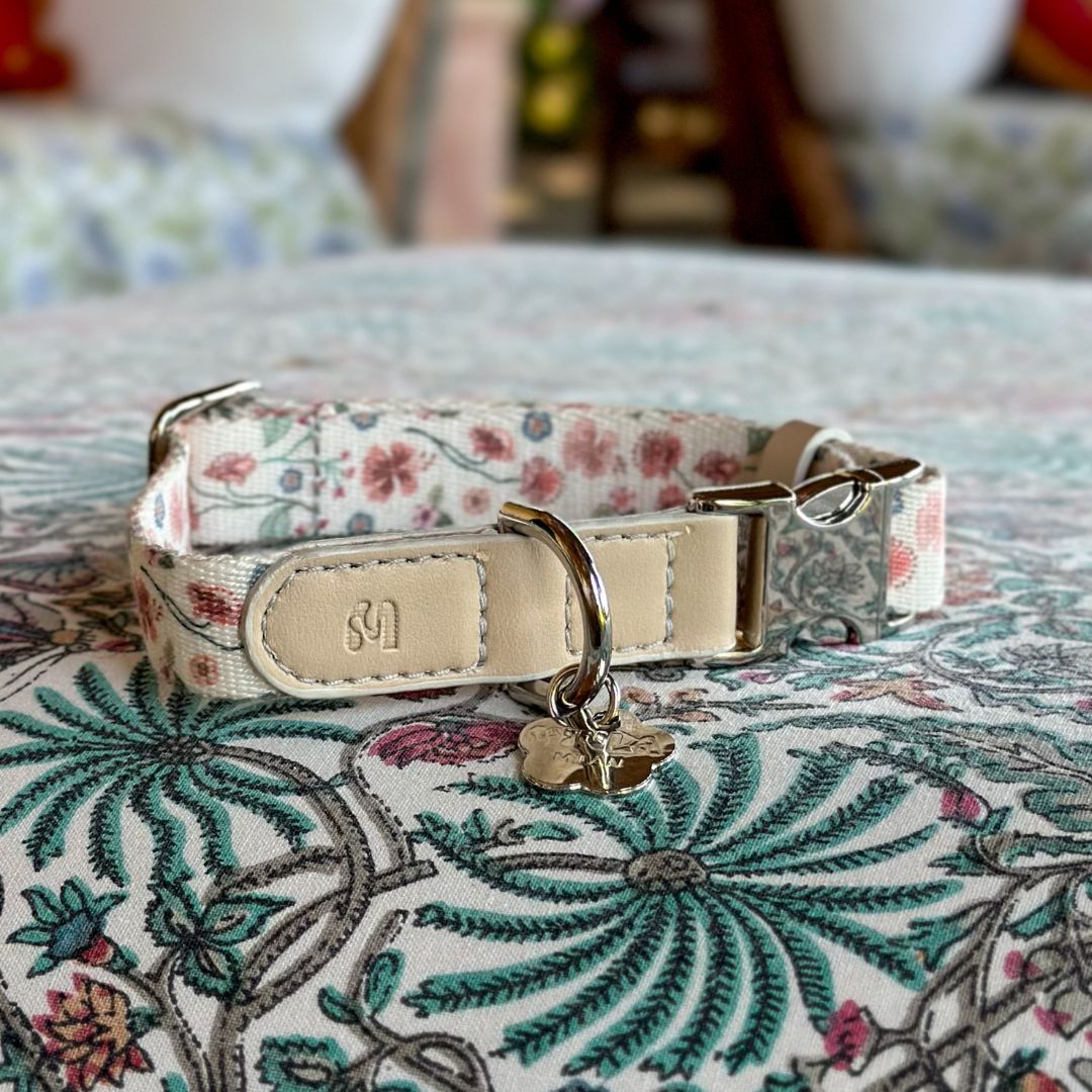 Dog Collar - Midsummer