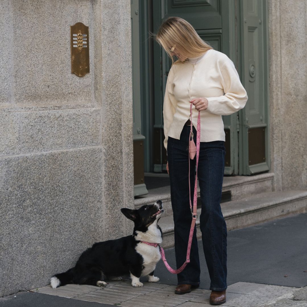 Multifunction Dog Leash - Sicily