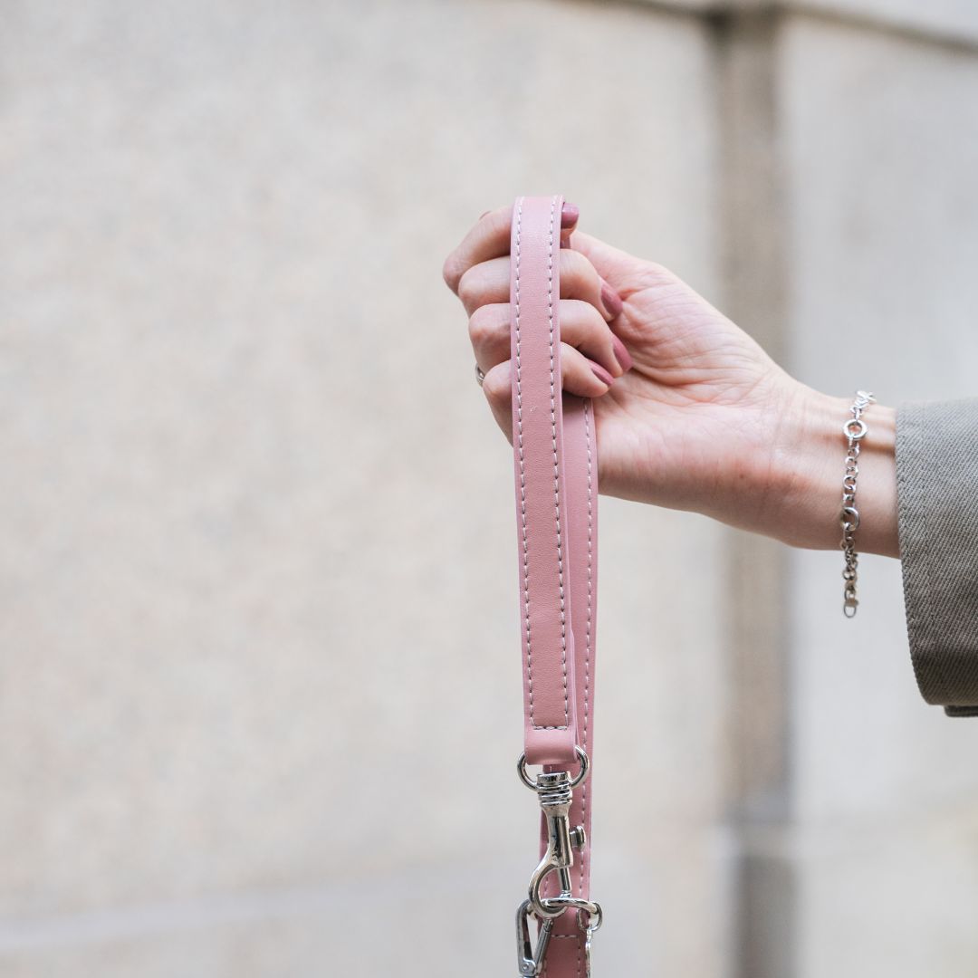Multifunction Dog Leash - Sicily