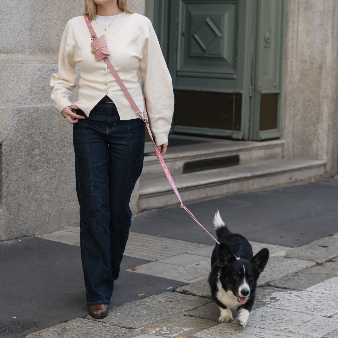 Collar walk set - Sicily