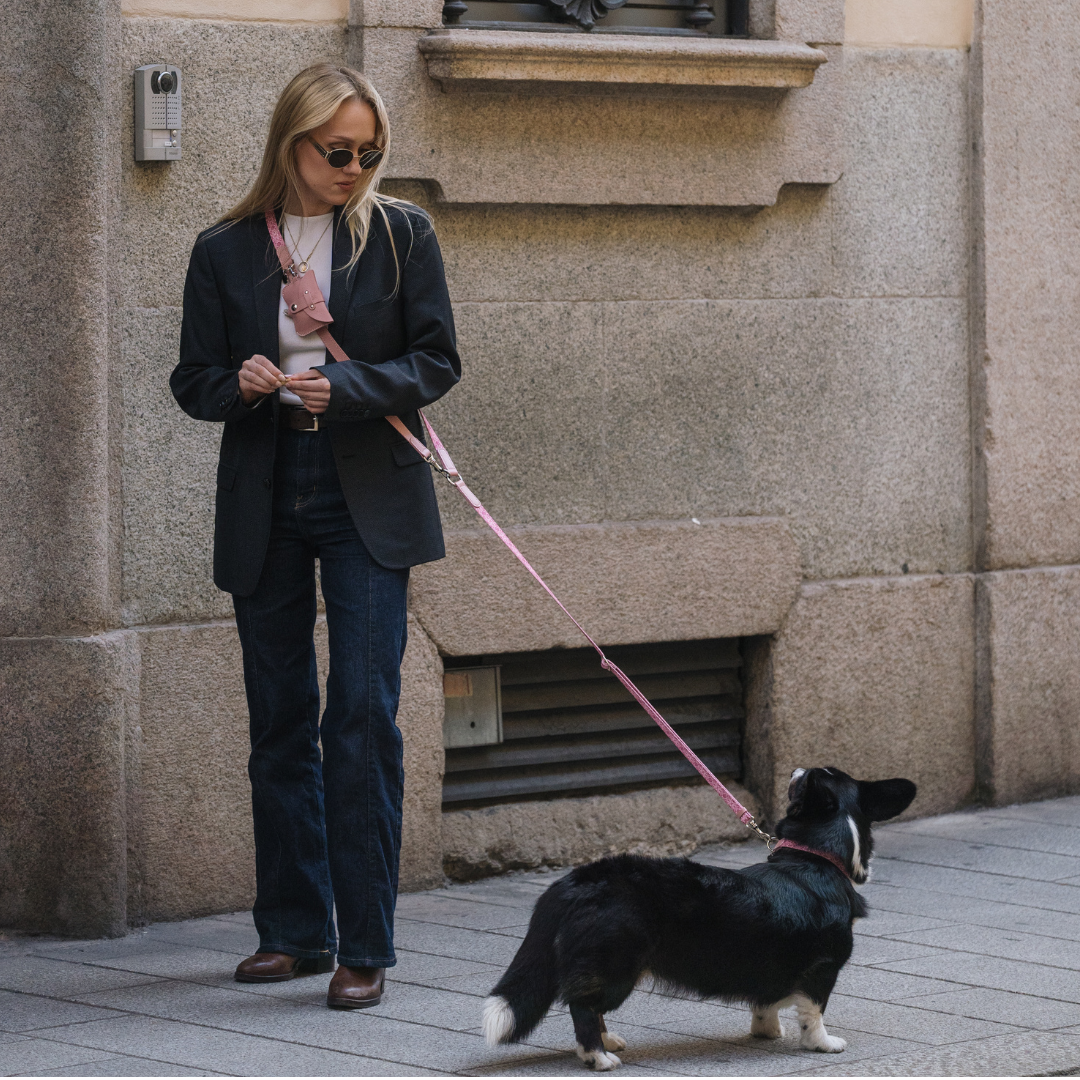 Collar walk set - Sicily