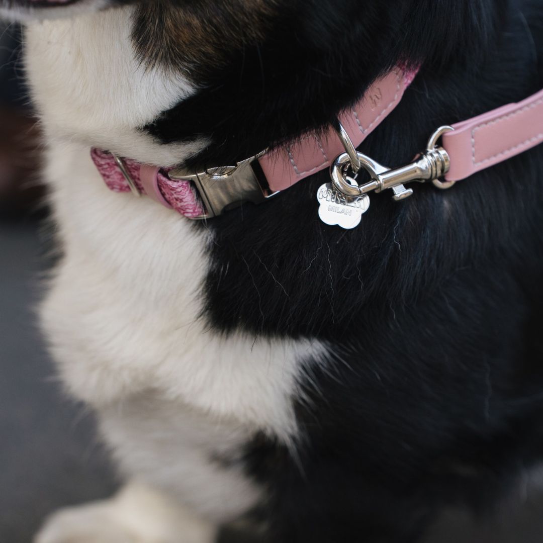 Dog Collar - Sicily