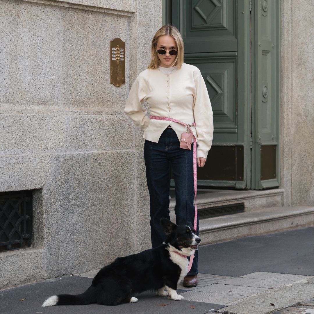 Multifunction Dog Leash - Sicily