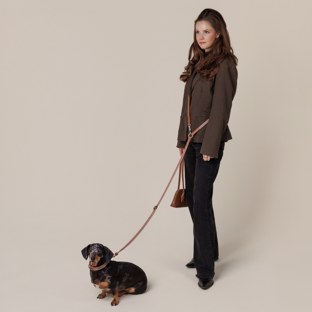 Multifunction leash - Timeless Mocha – MINLA