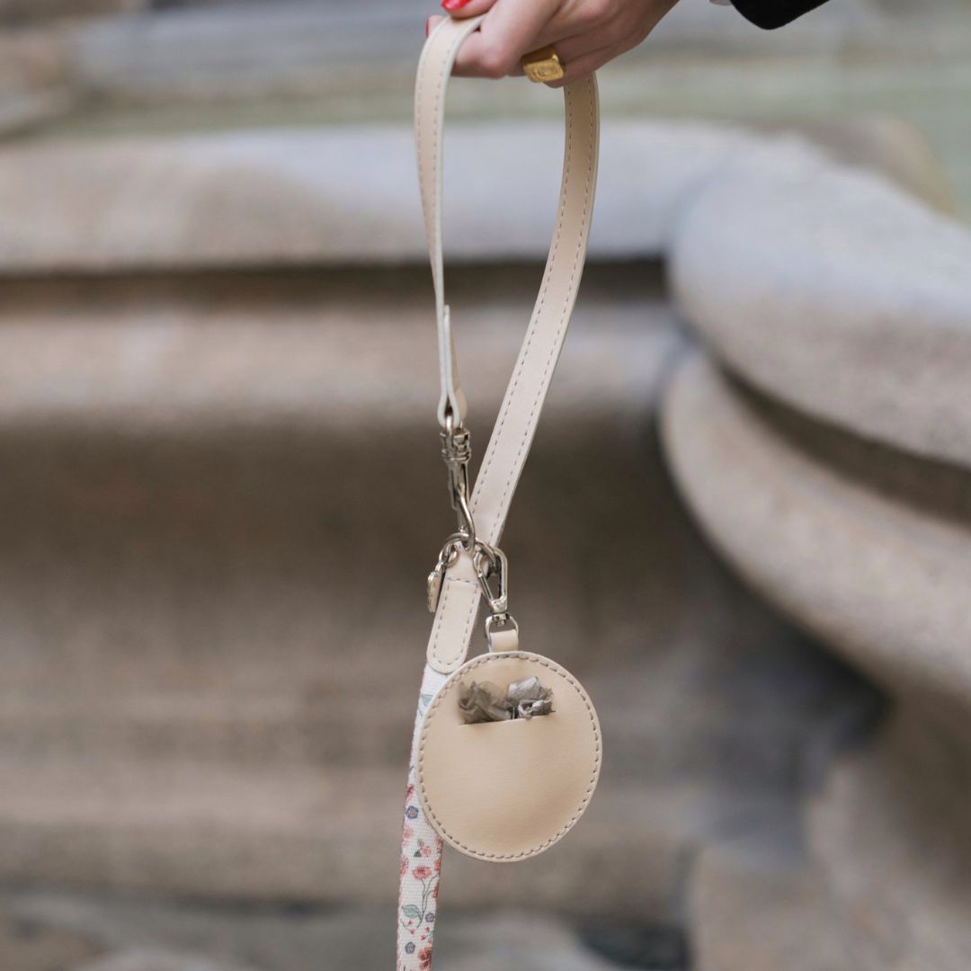 Multifunction Dog Leash - Midsummer