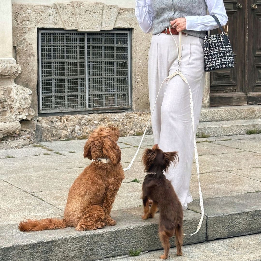 Duo Dog Extra Handle
