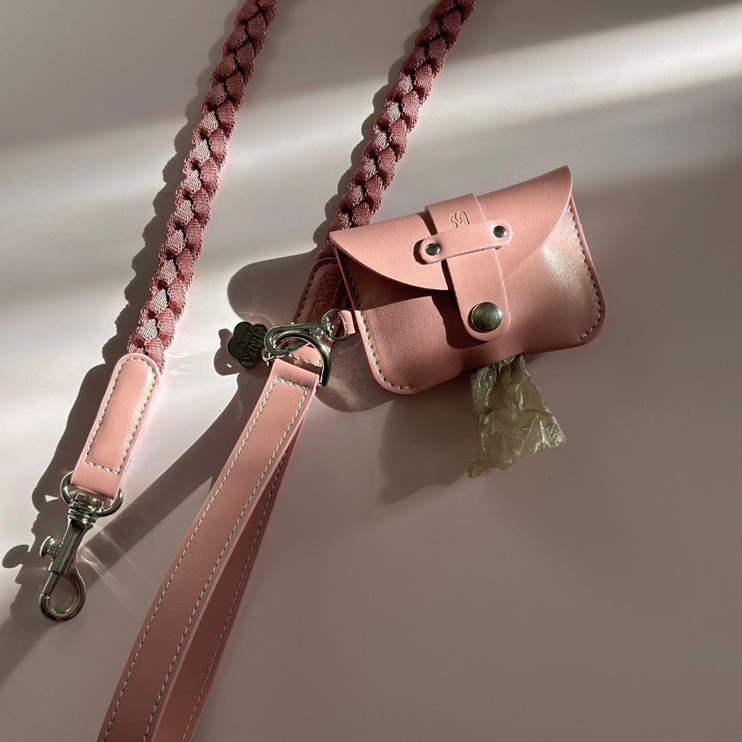Braid Dog Leash - Petal