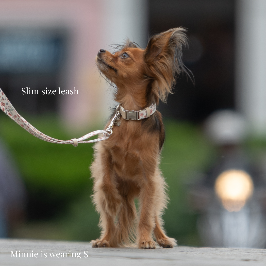 Collar walk set - Midsummer