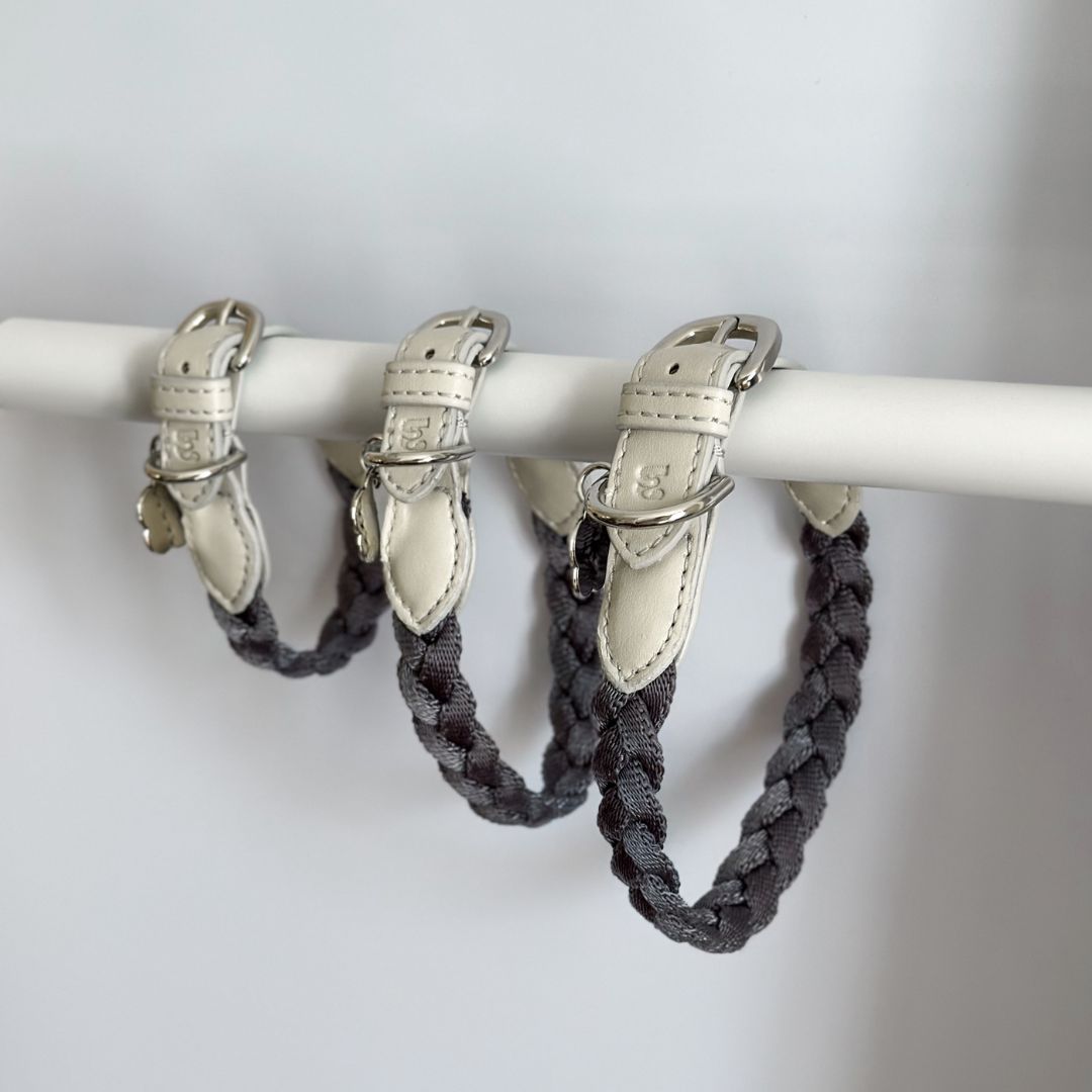 Braid Dog Collar - Moon