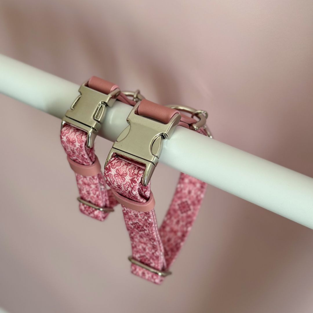 Dog Collar - Sicily
