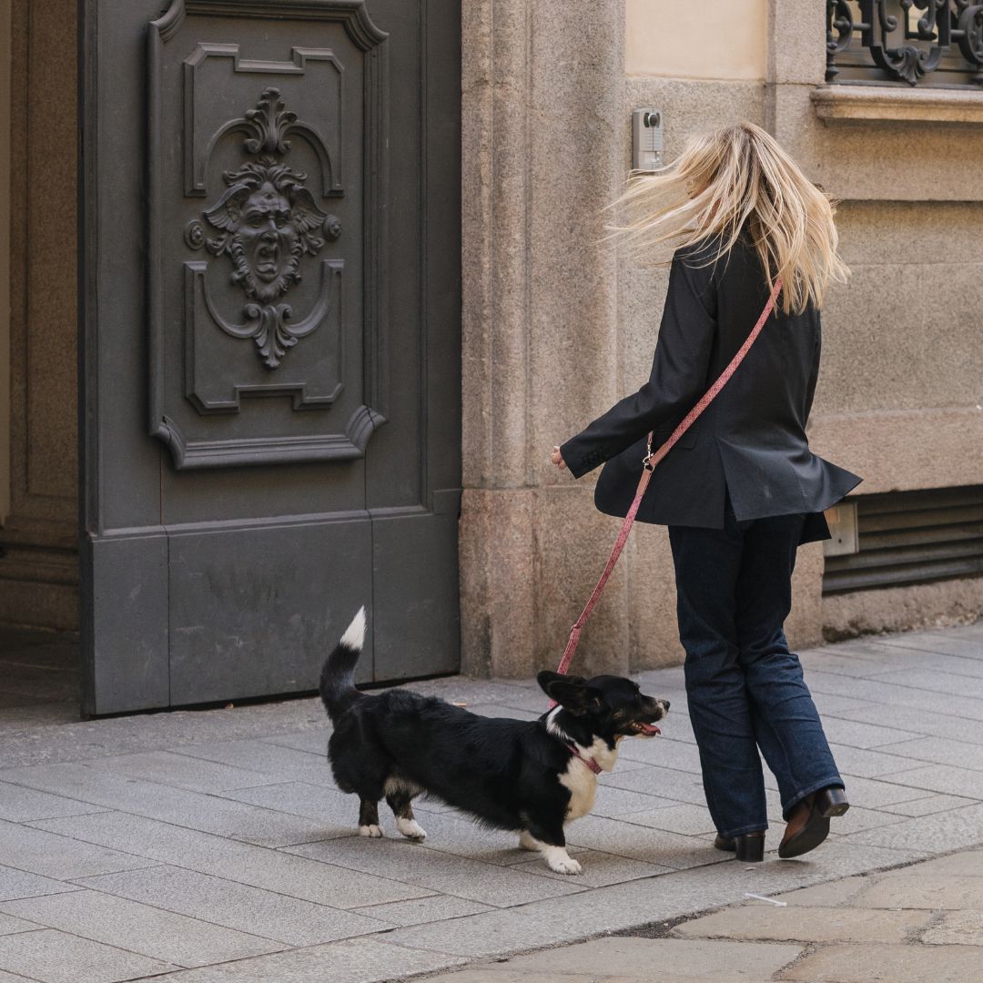 Multifunction Dog Leash - Sicily