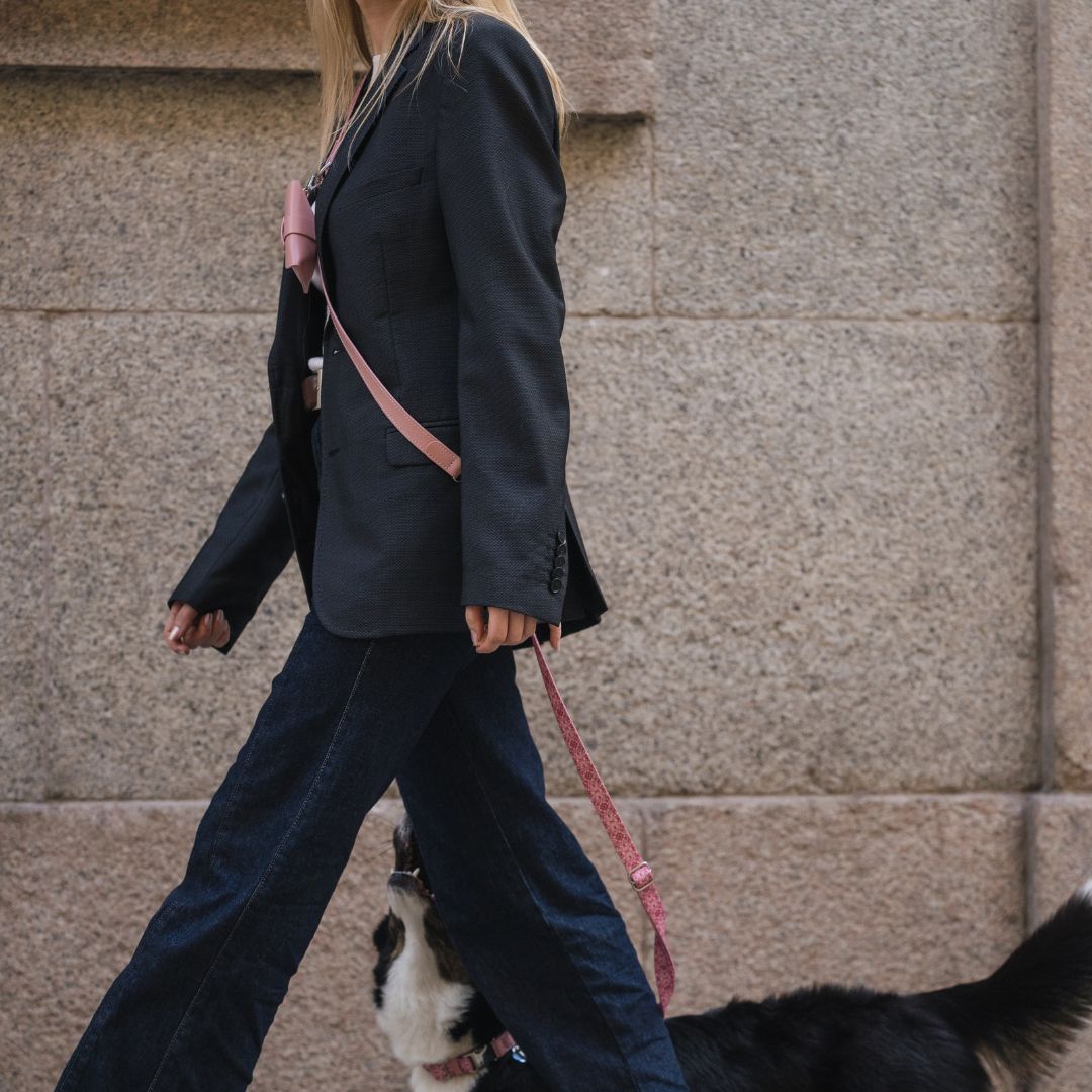 Multifunction Dog Leash - Sicily