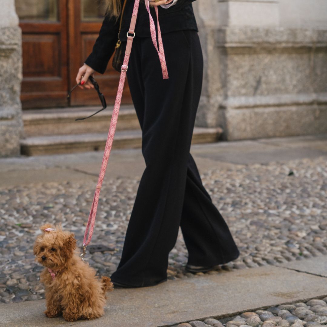 Multifunction Dog Leash - Sicily