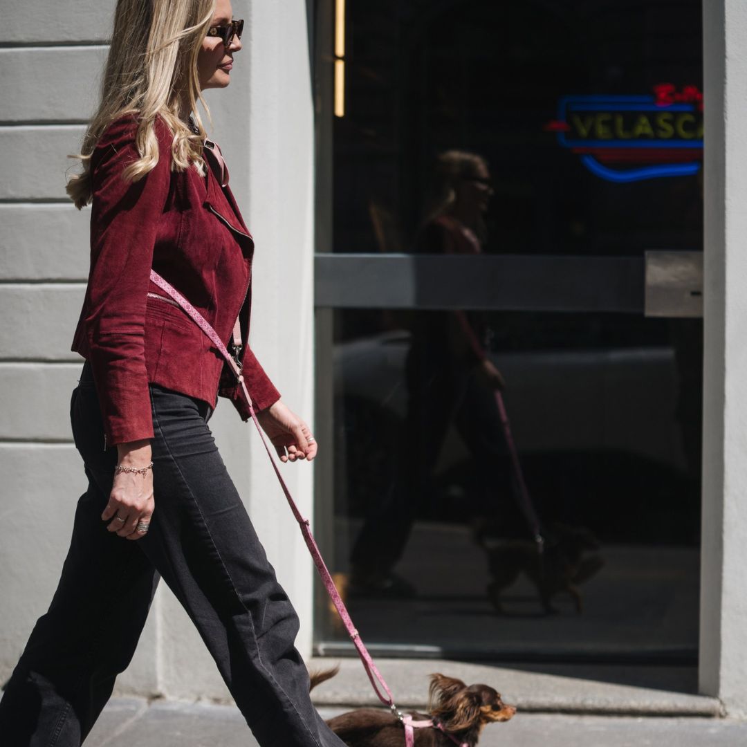 Multifunction Dog Leash - Sicily