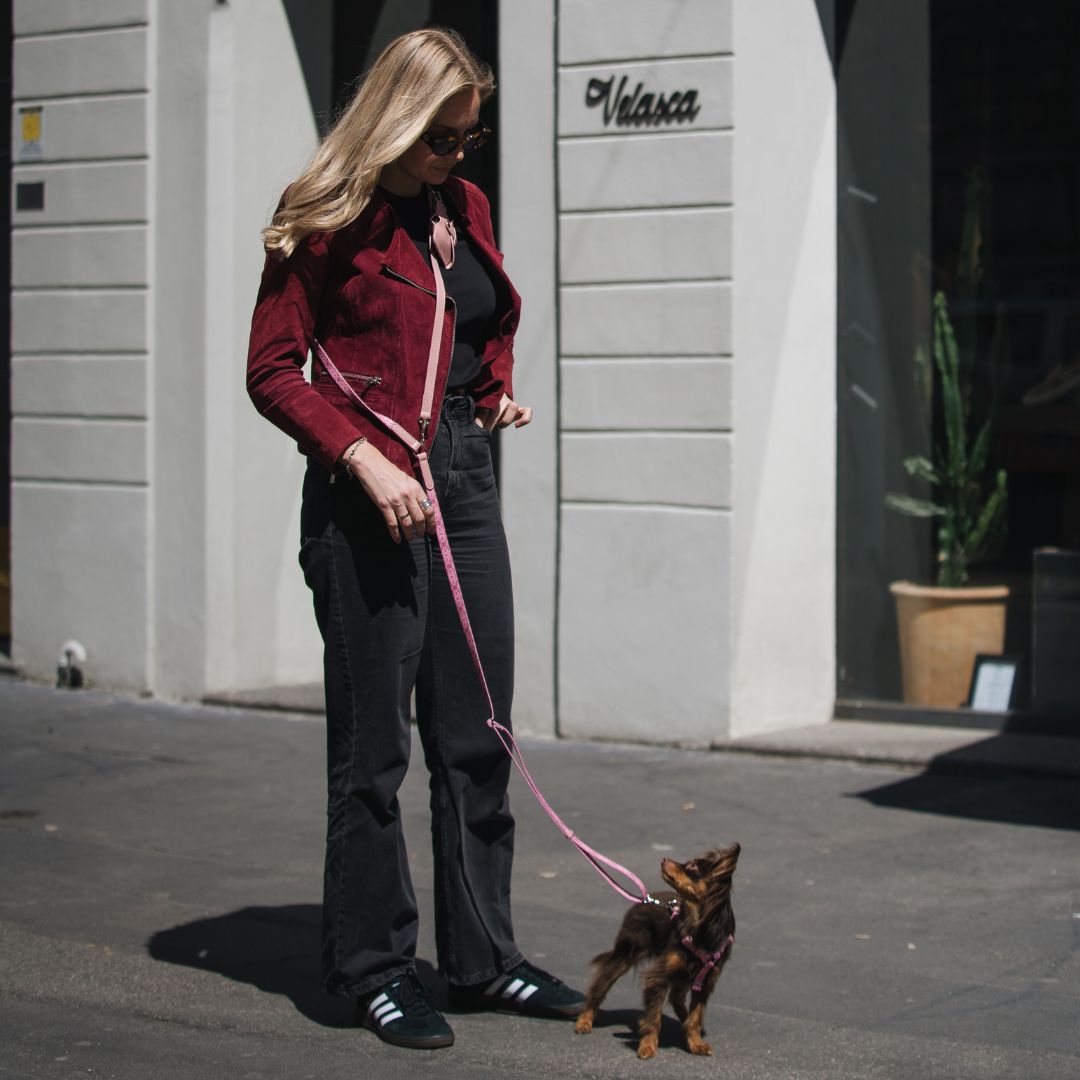 Multifunction Dog Leash - Sicily