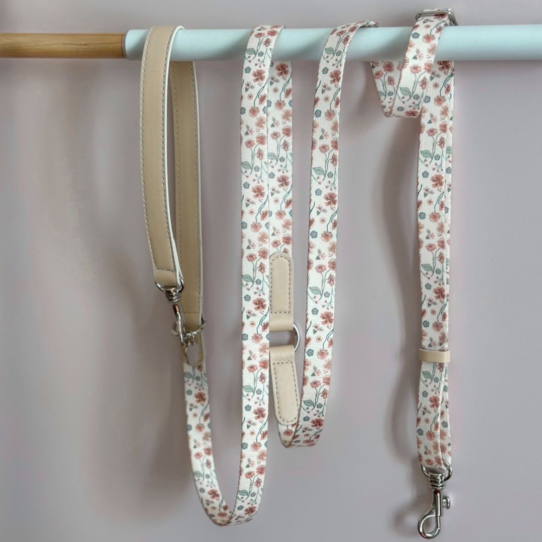 Multifunction Dog Leash - Midsummer