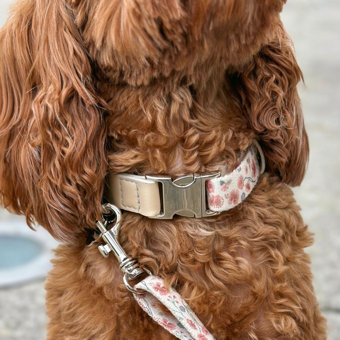 Dog Collar - Midsummer
