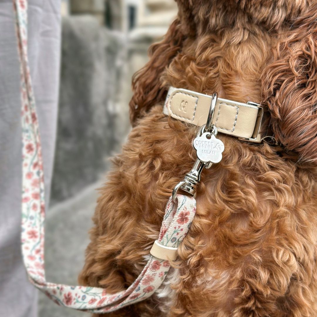 Dog Collar - Midsummer