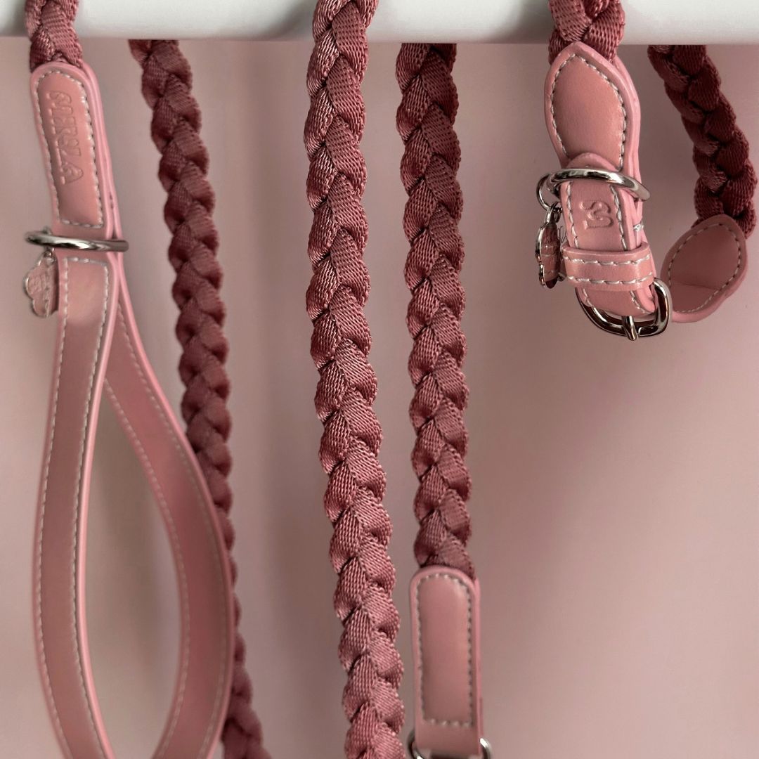 Braid Dog Leash - Petal