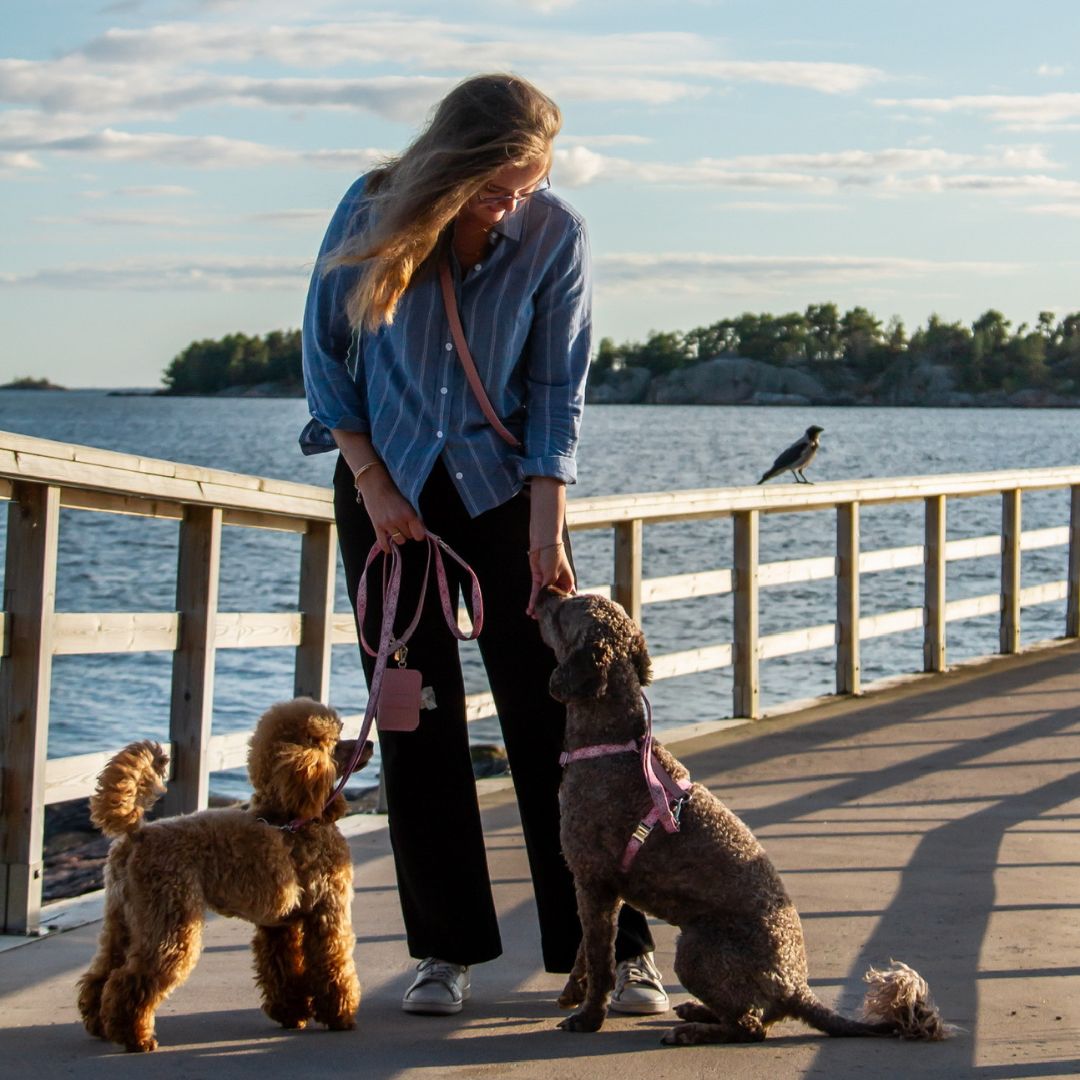 Multifunction Dog Leash - Sicily