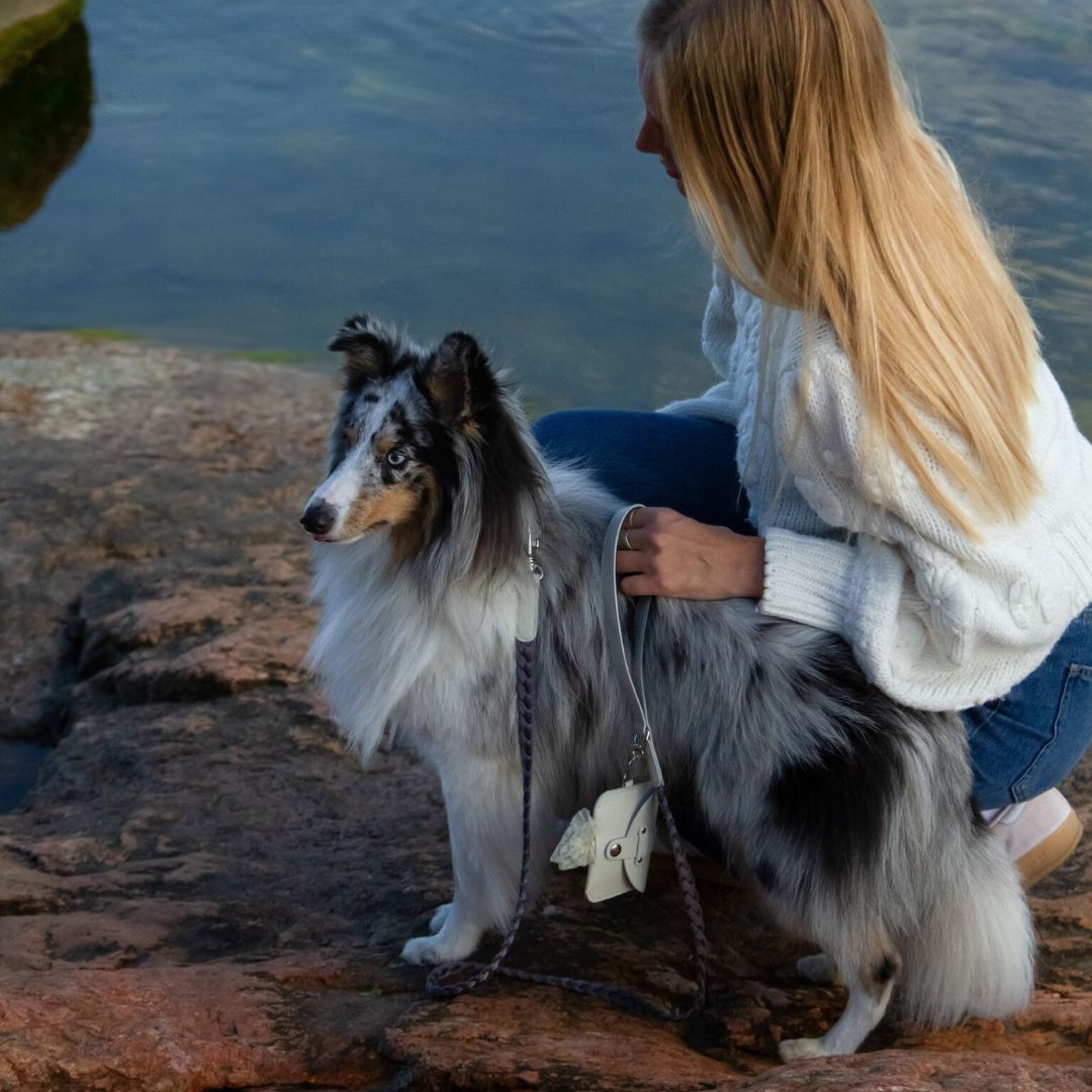 Braid Dog Leash - Moon