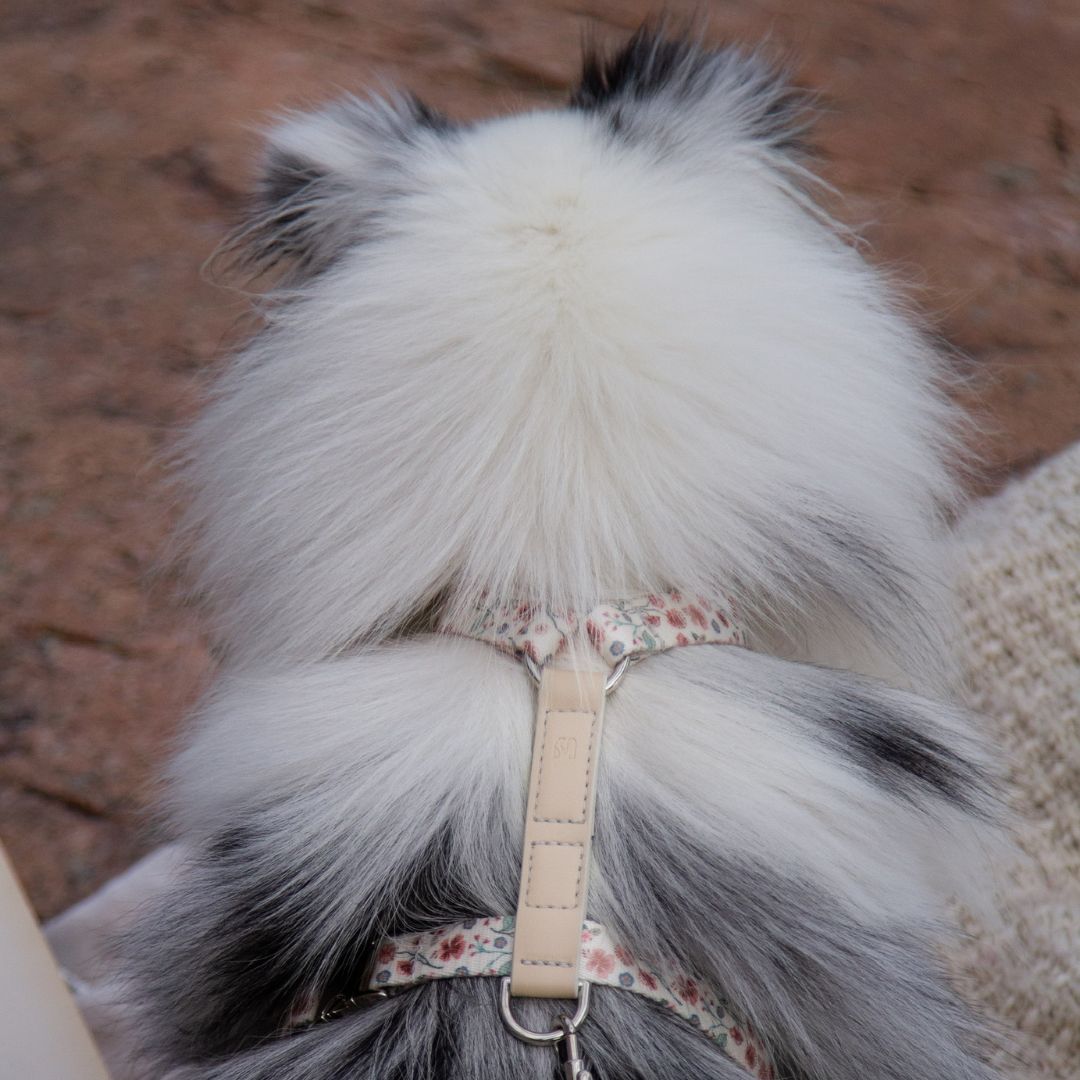 Dog Harness - Midsummer