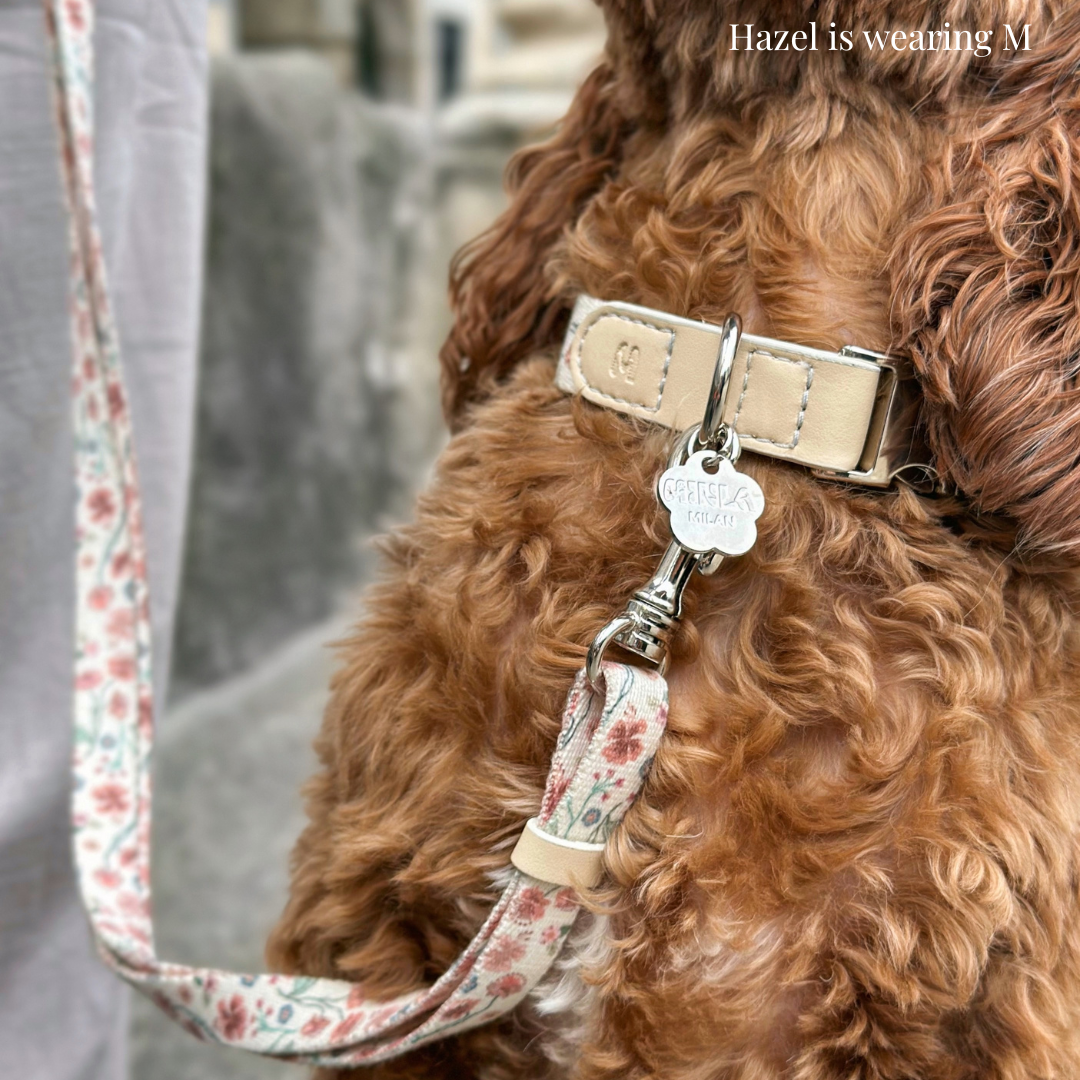 Collar walk set - Midsummer