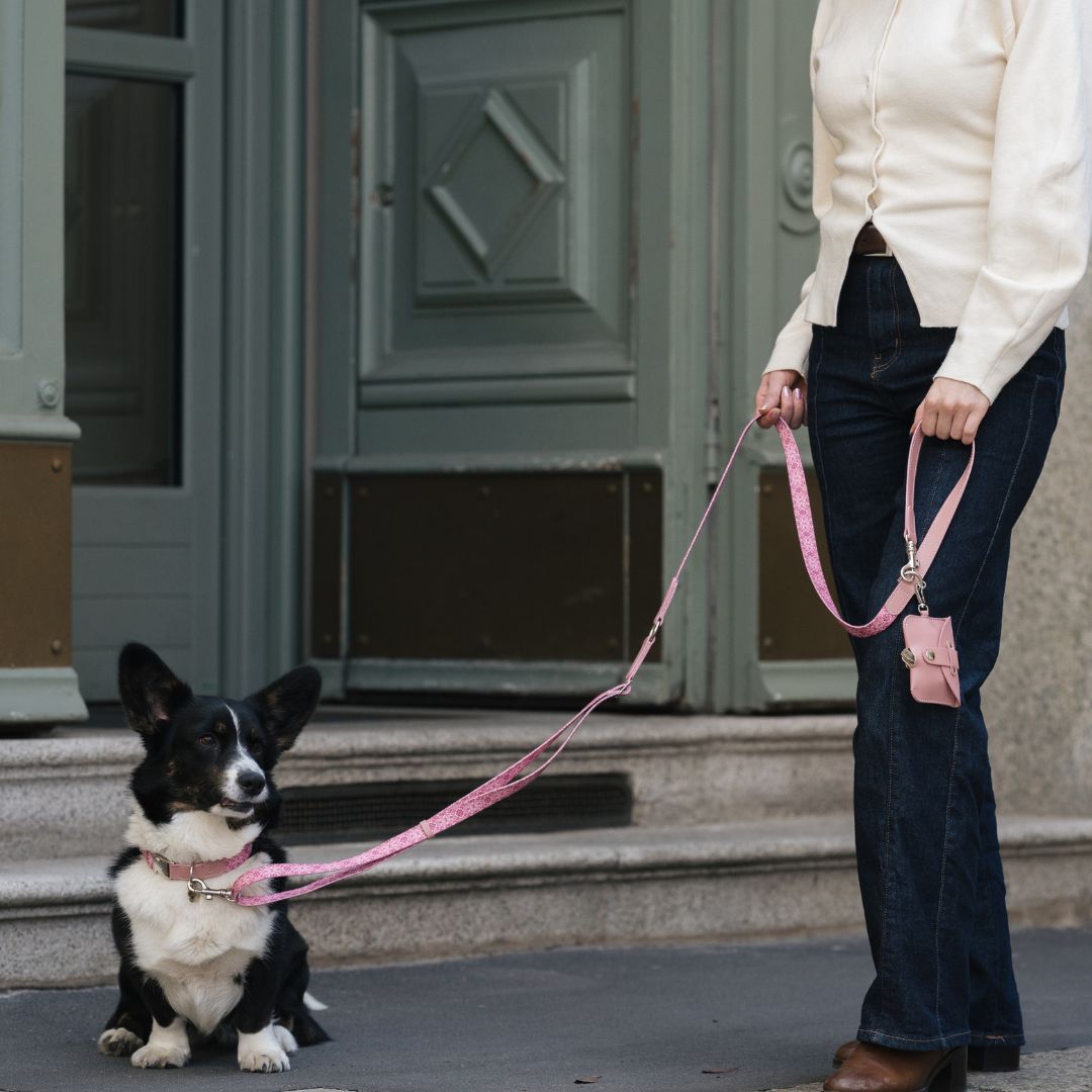 Poop Bag Holder Pink