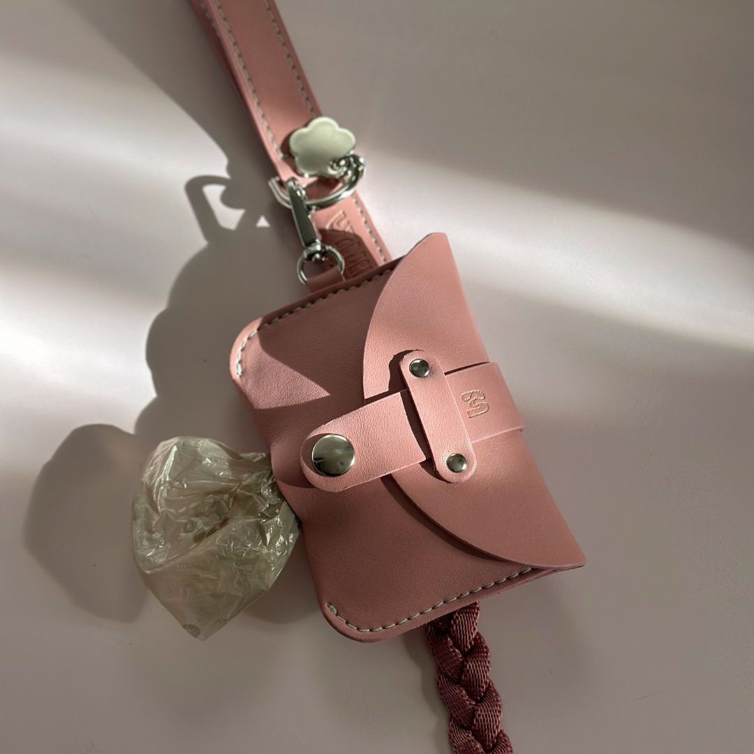 Braid Dog Leash - Petal