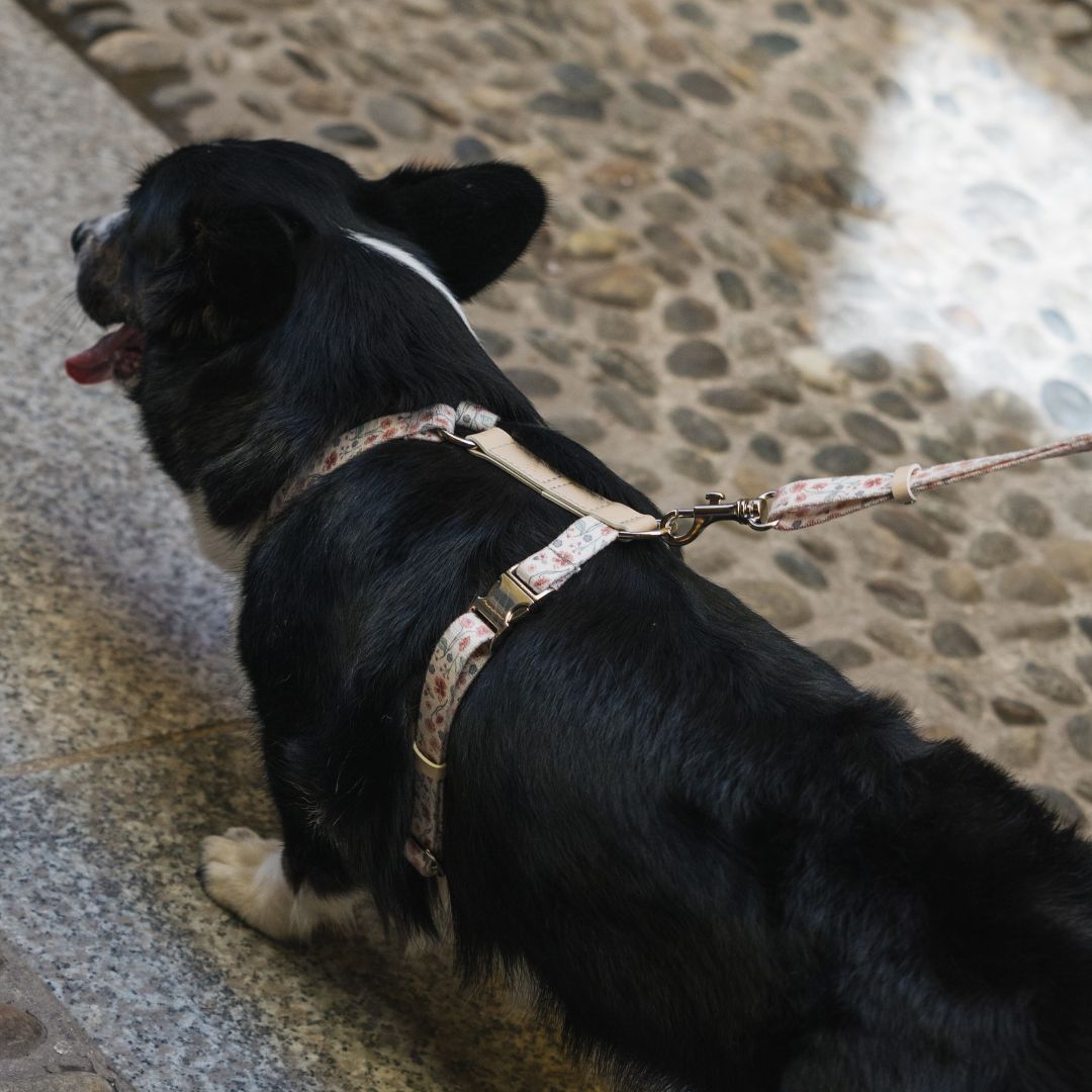 Dog Harness - Midsummer