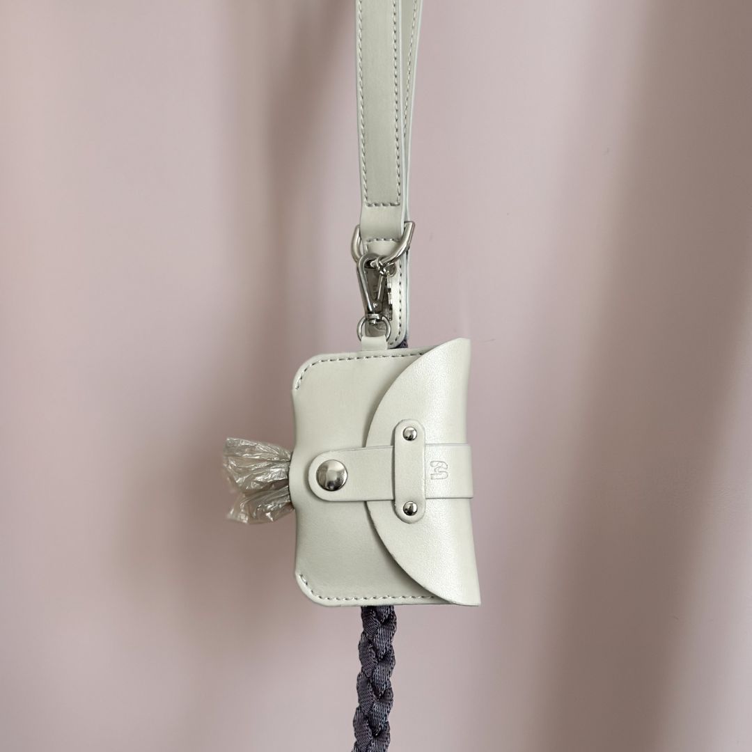 Braid Dog Leash - Moon