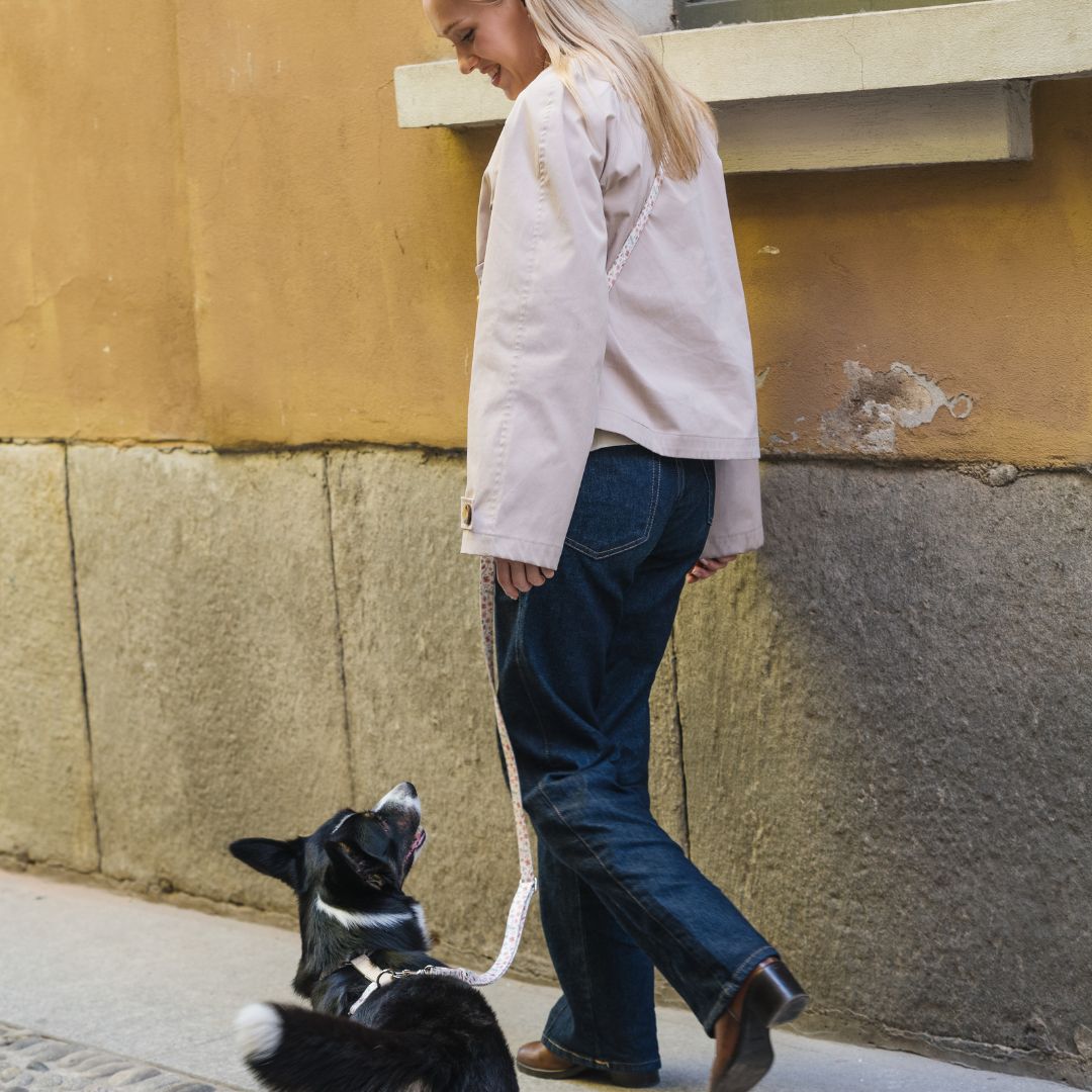 Multifunction Dog Leash - Midsummer