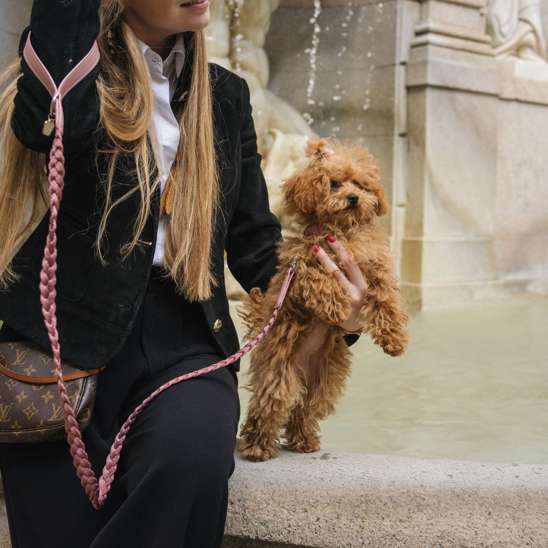 Braid Dog Leash - Petal
