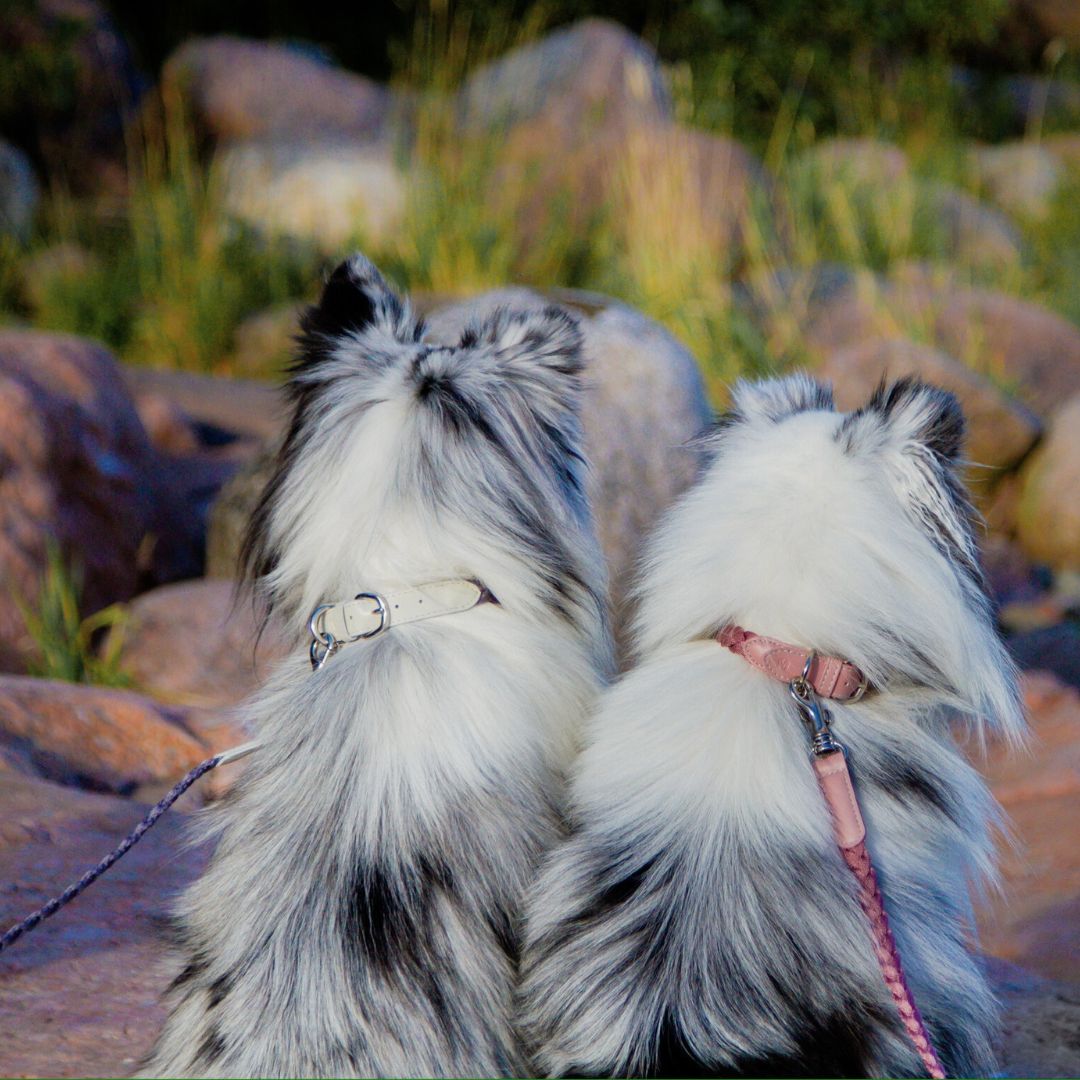 Braid Dog Leash - Petal