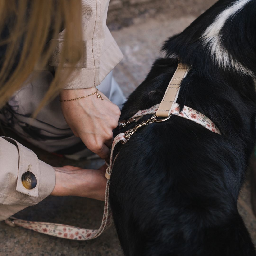 Dog Harness - Midsummer