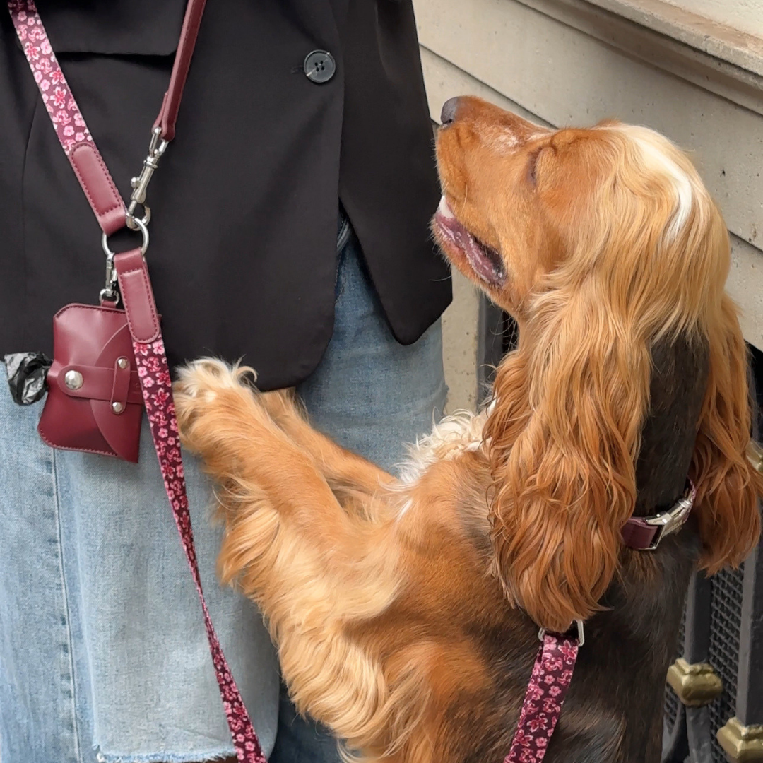 Poop Bag Holder Burgundy