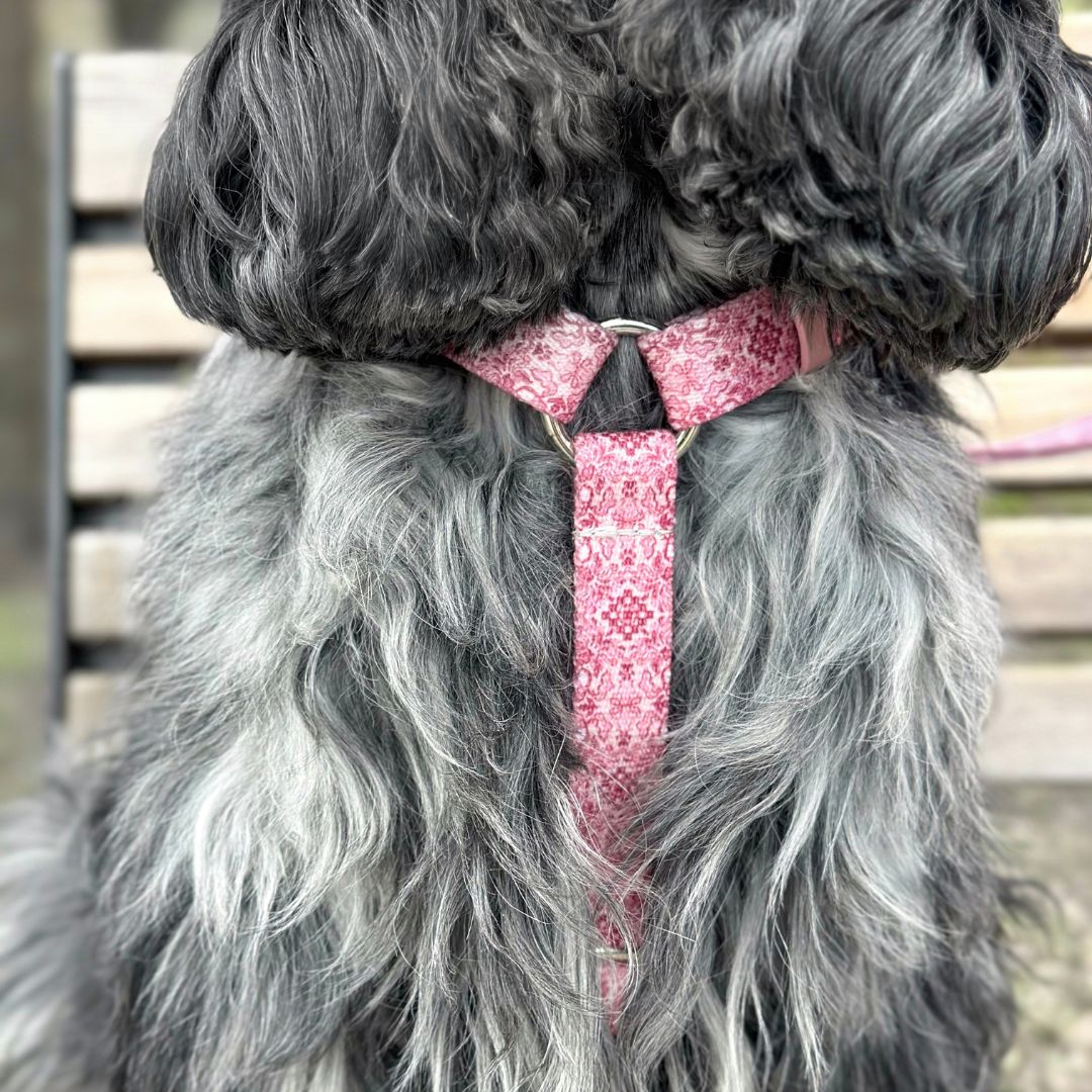 Dog Harness - Sicily