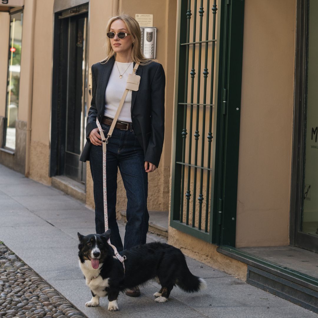 Multifunction Dog Leash - Midsummer