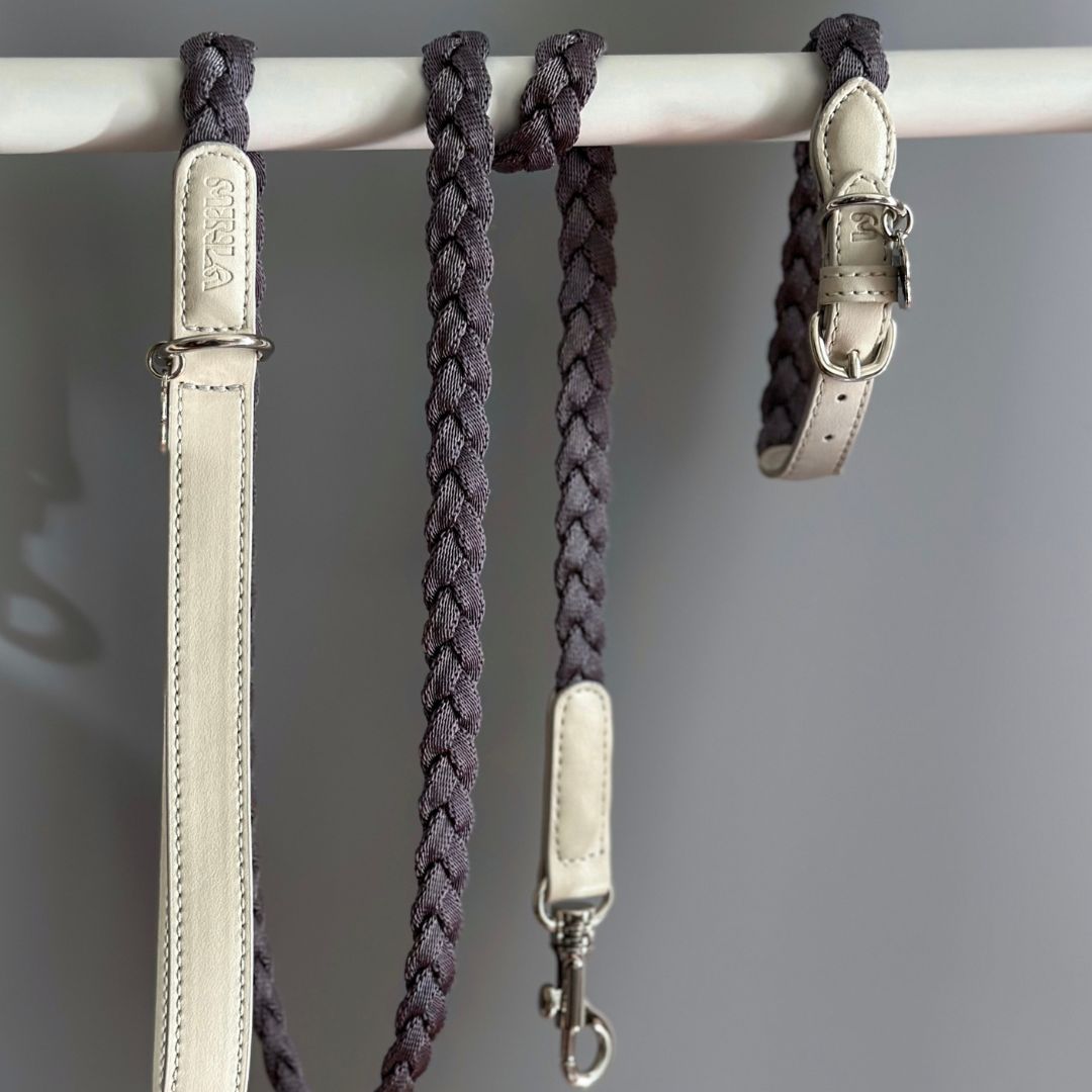 Braid Dog Collar - Moon