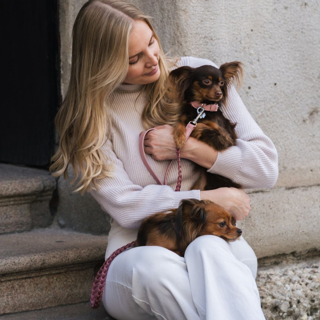 Braid Dog Leash - Petal