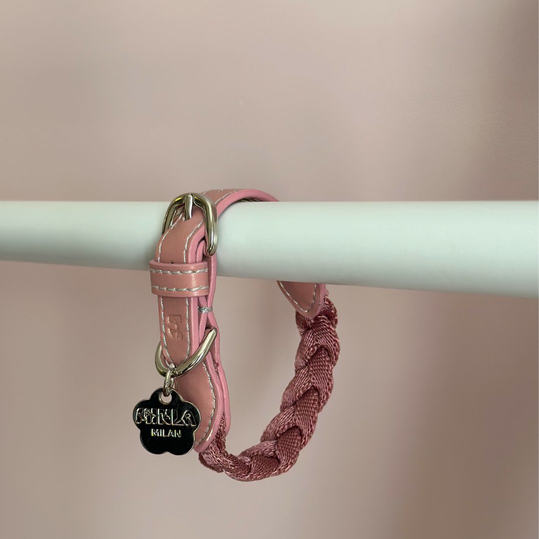 Braid Dog Collar - Petal