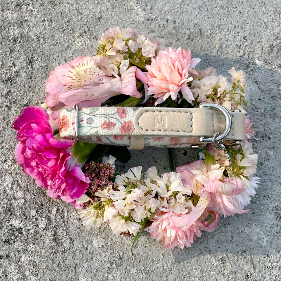 Dog Collar - Midsummer