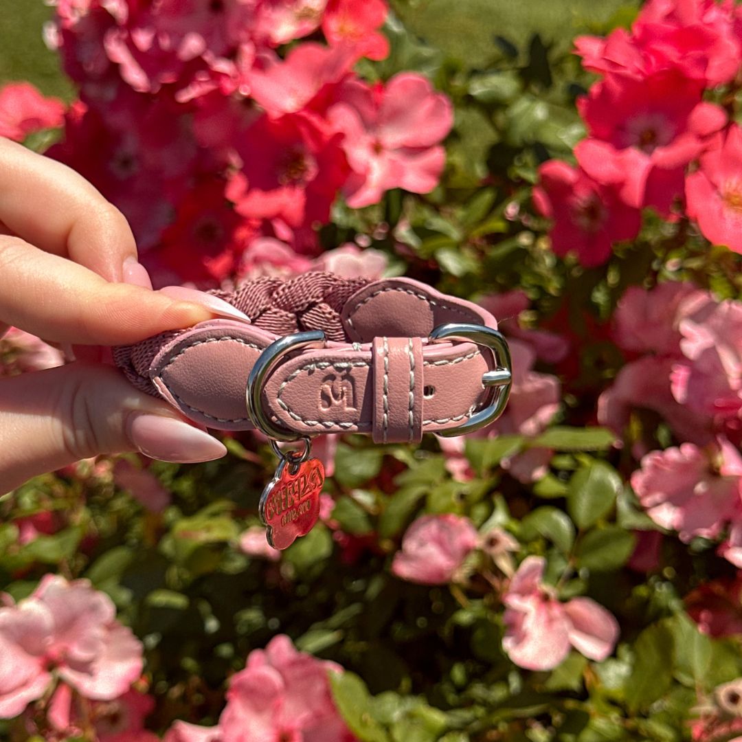 Braid Dog Collar - Petal