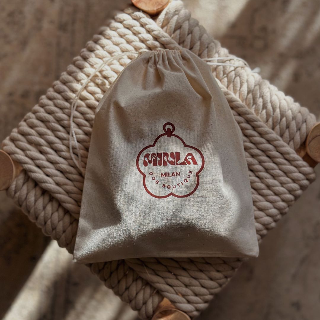 Braid Dog Leash - Moon