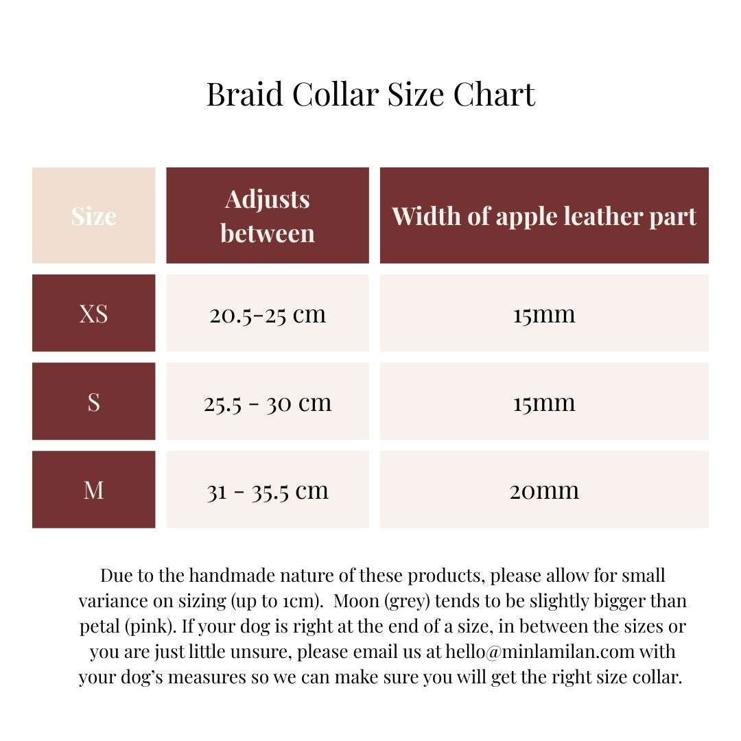 Braid Dog Collar - Petal