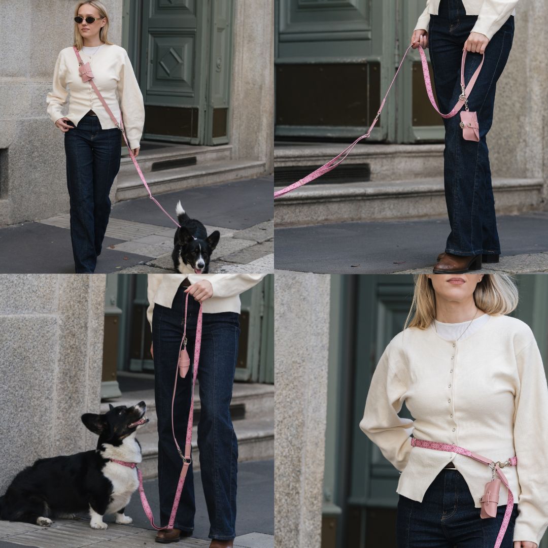 Multifunction Dog Leash - Sicily