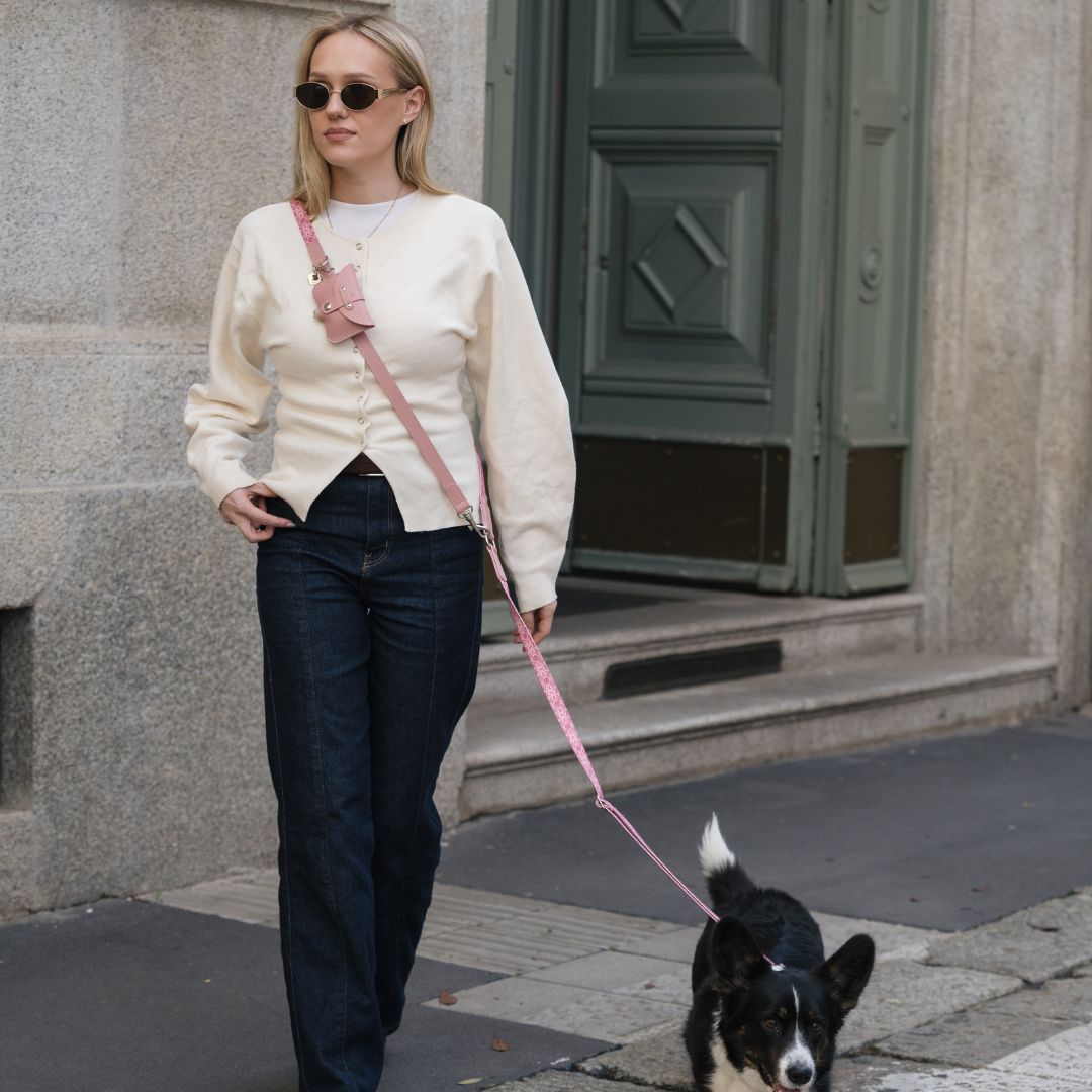 Multifunction Dog Leash - Sicily