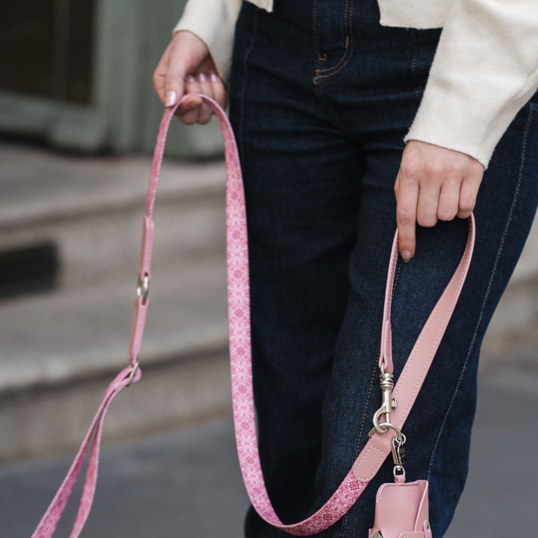 Multifunction Dog Leash - Sicily