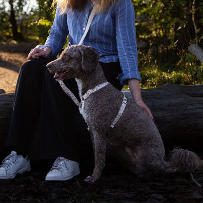 Dog Harness - Midsummer